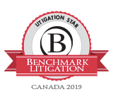 Benchmark Litigation Star 2019 Benchmark Litigation Star 2019
