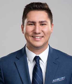 Radu C. Pirvulescu, ACIArb